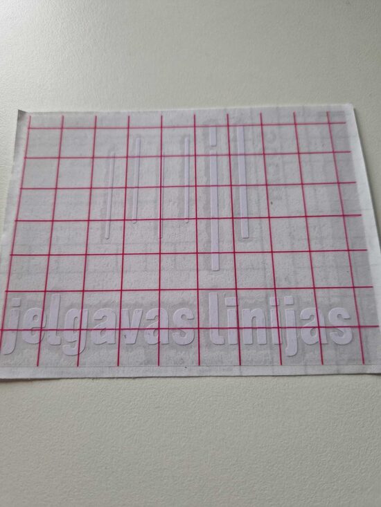 Automašīnas uzlīme ar biedrības logo baltā krāsā